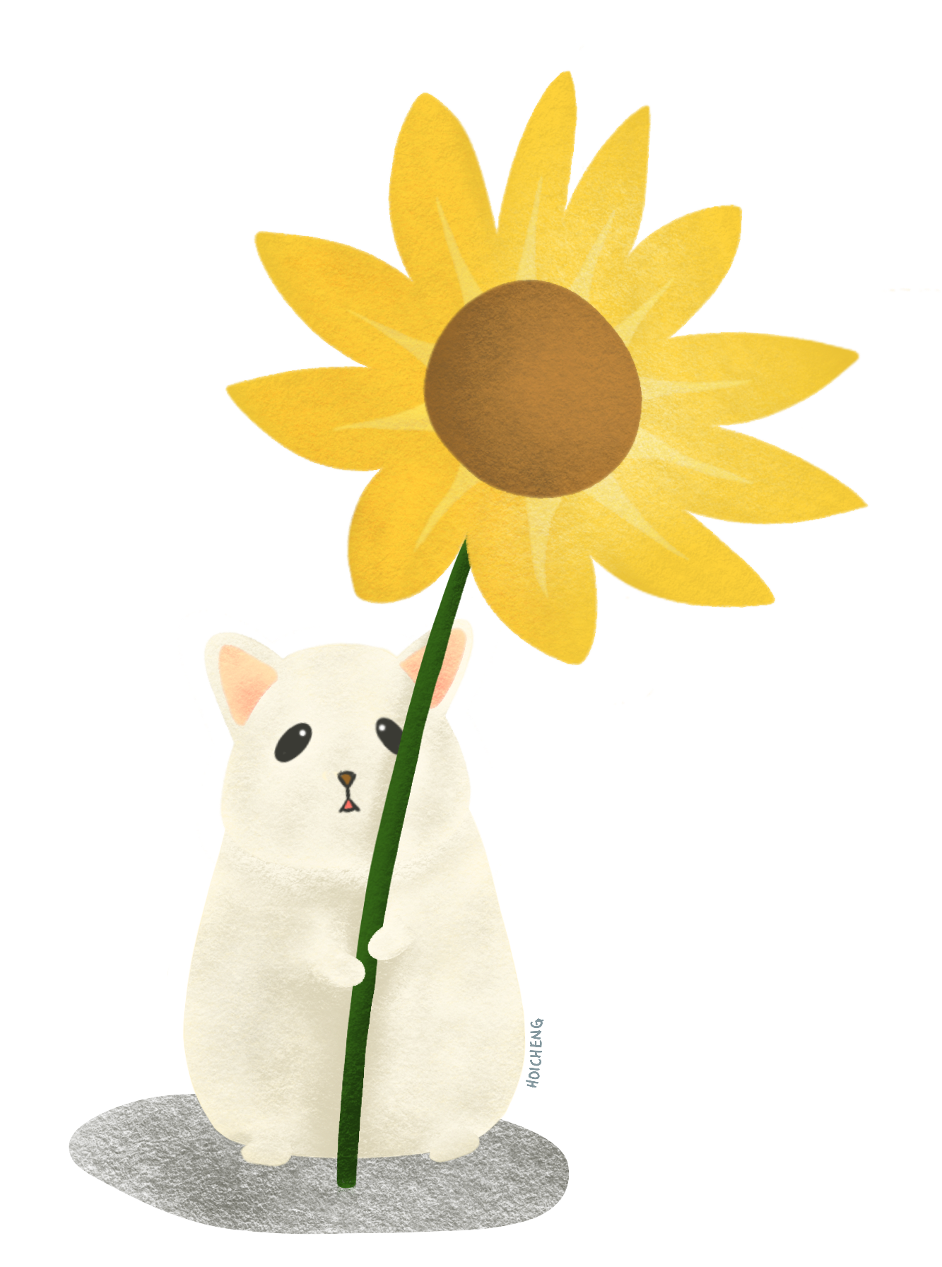 Rabbit holding sunflower